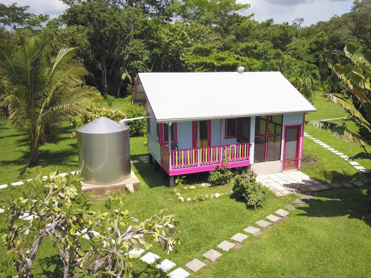 Lower Dover Jungle Lodge & Maya Ruins Unitedville Luaran gambar