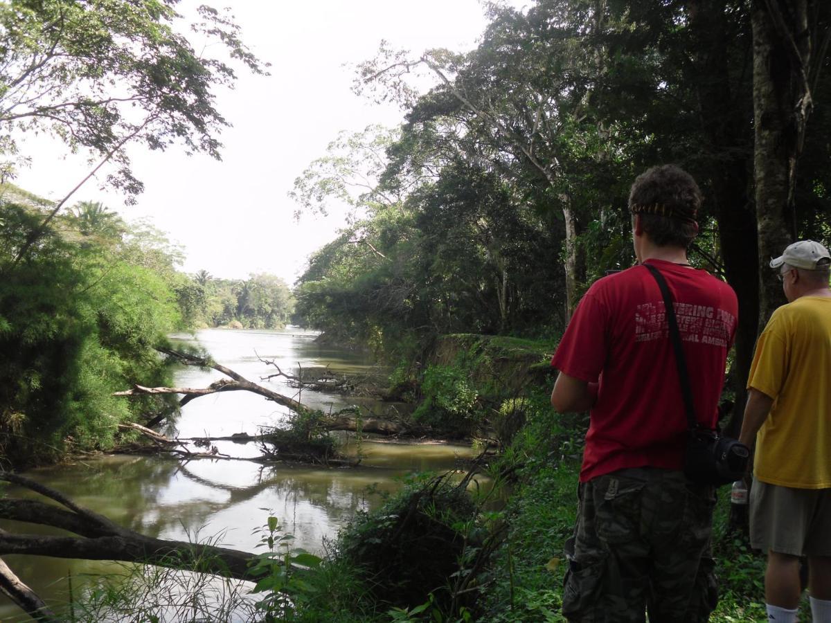 Lower Dover Jungle Lodge & Maya Ruins Unitedville Luaran gambar