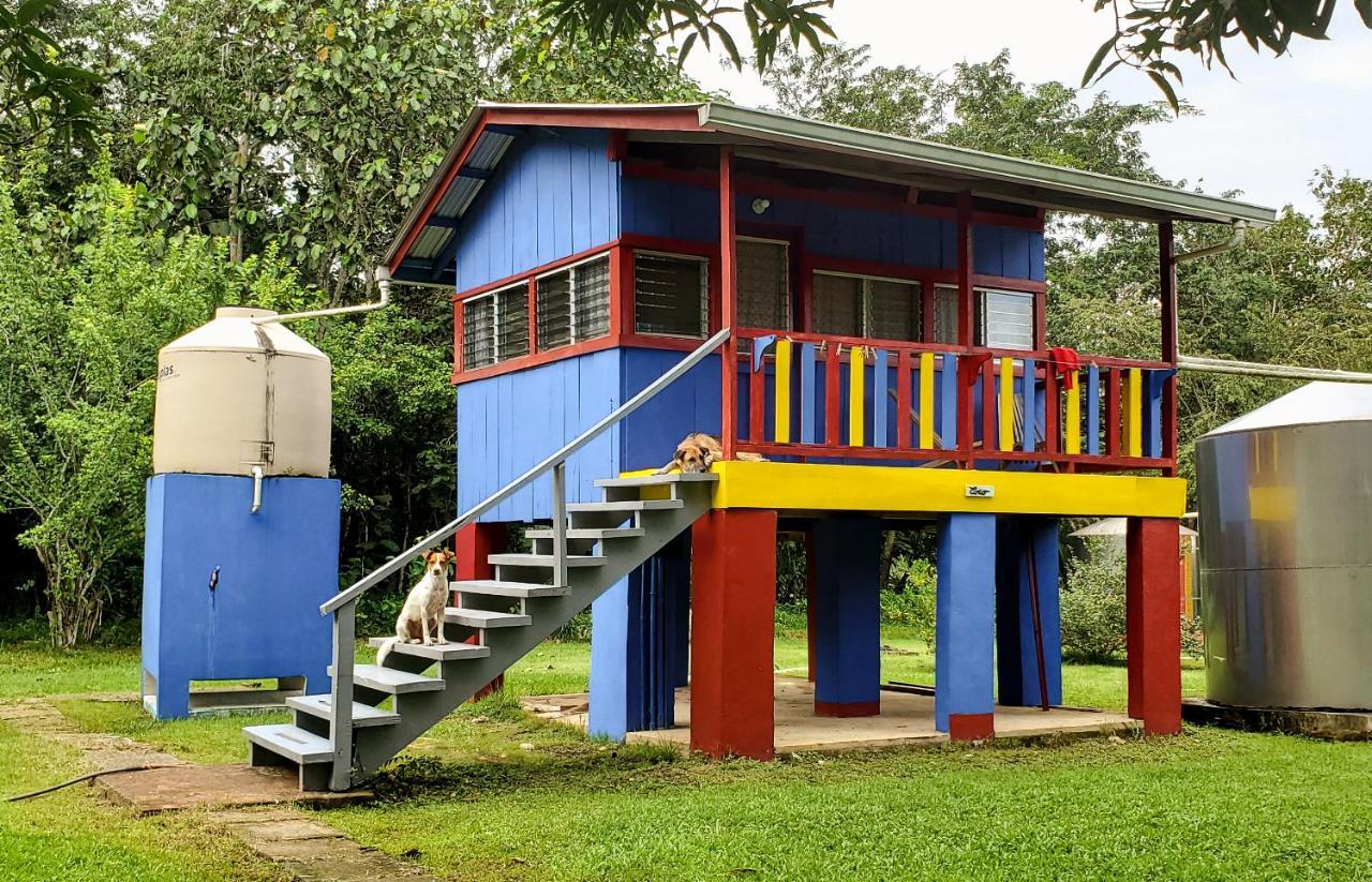 Lower Dover Jungle Lodge & Maya Ruins Unitedville Luaran gambar