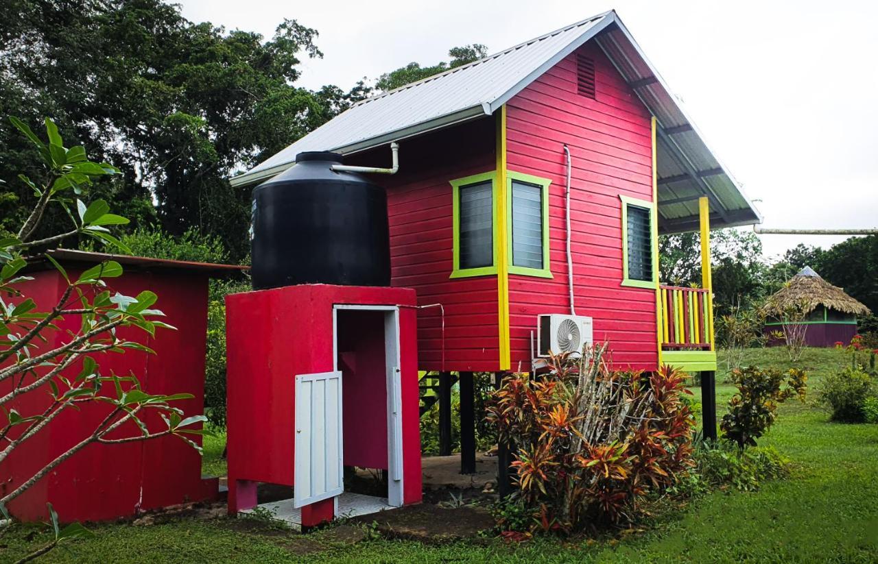 Lower Dover Jungle Lodge & Maya Ruins Unitedville Luaran gambar