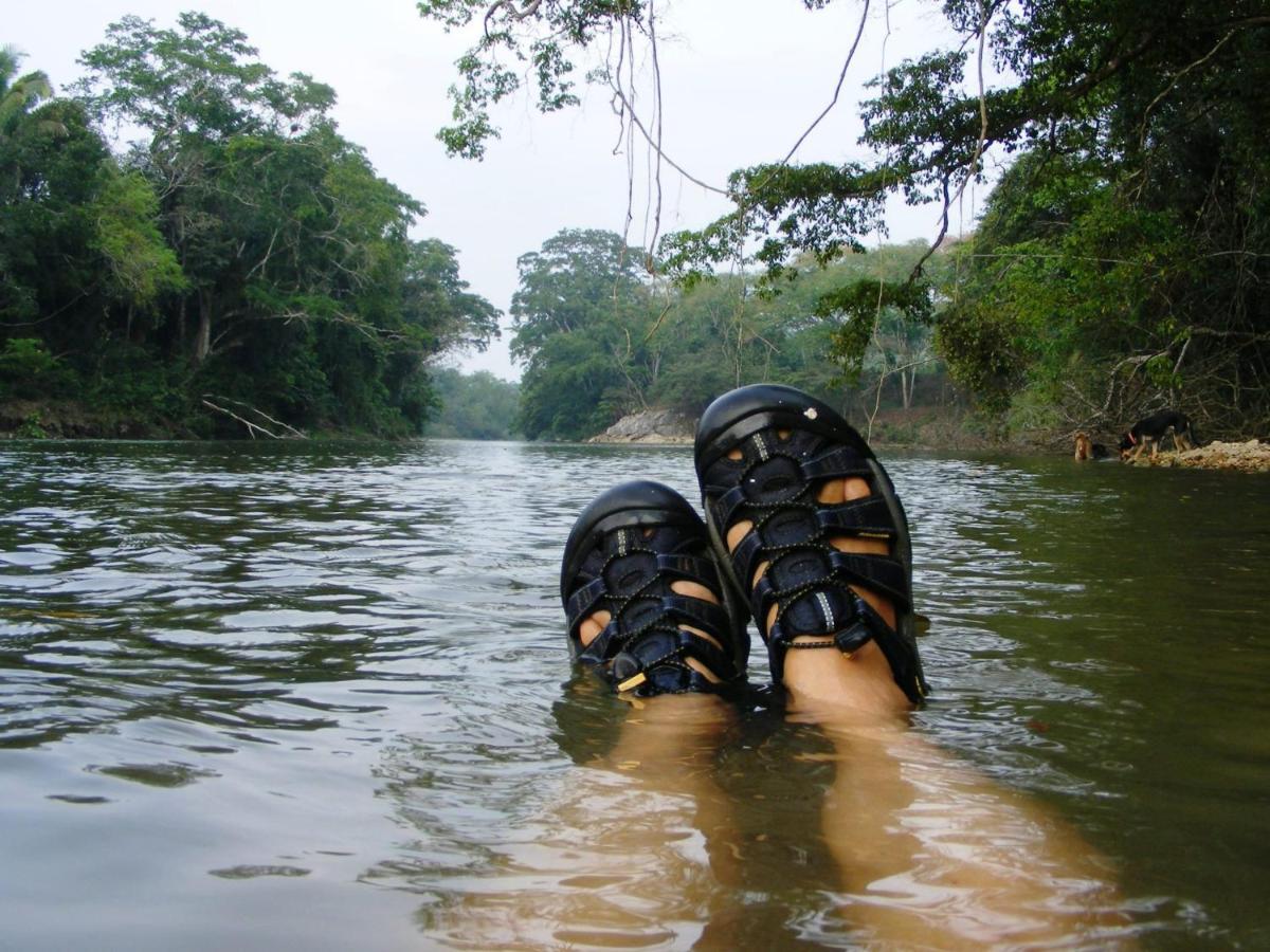 Lower Dover Jungle Lodge & Maya Ruins Unitedville Luaran gambar