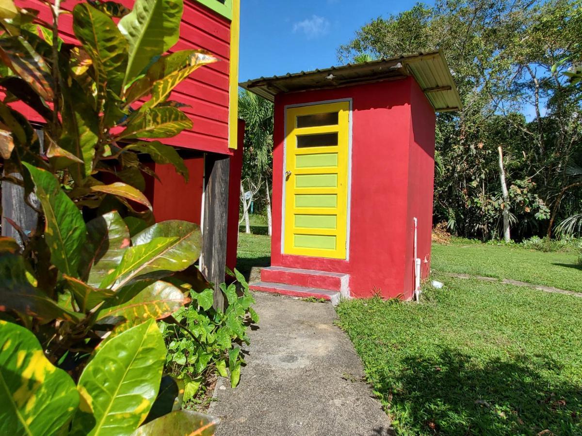 Lower Dover Jungle Lodge & Maya Ruins Unitedville Luaran gambar