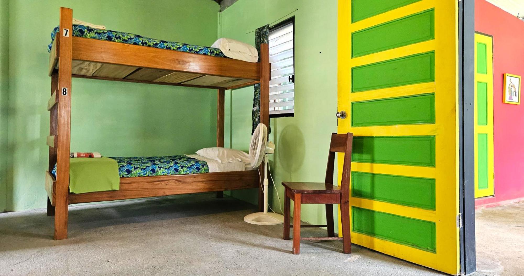 Lower Dover Jungle Lodge & Maya Ruins Unitedville Bilik gambar