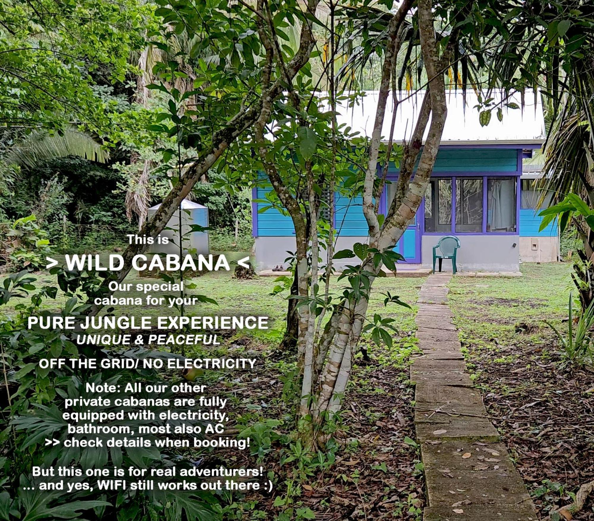 Lower Dover Jungle Lodge & Maya Ruins Unitedville Bilik gambar