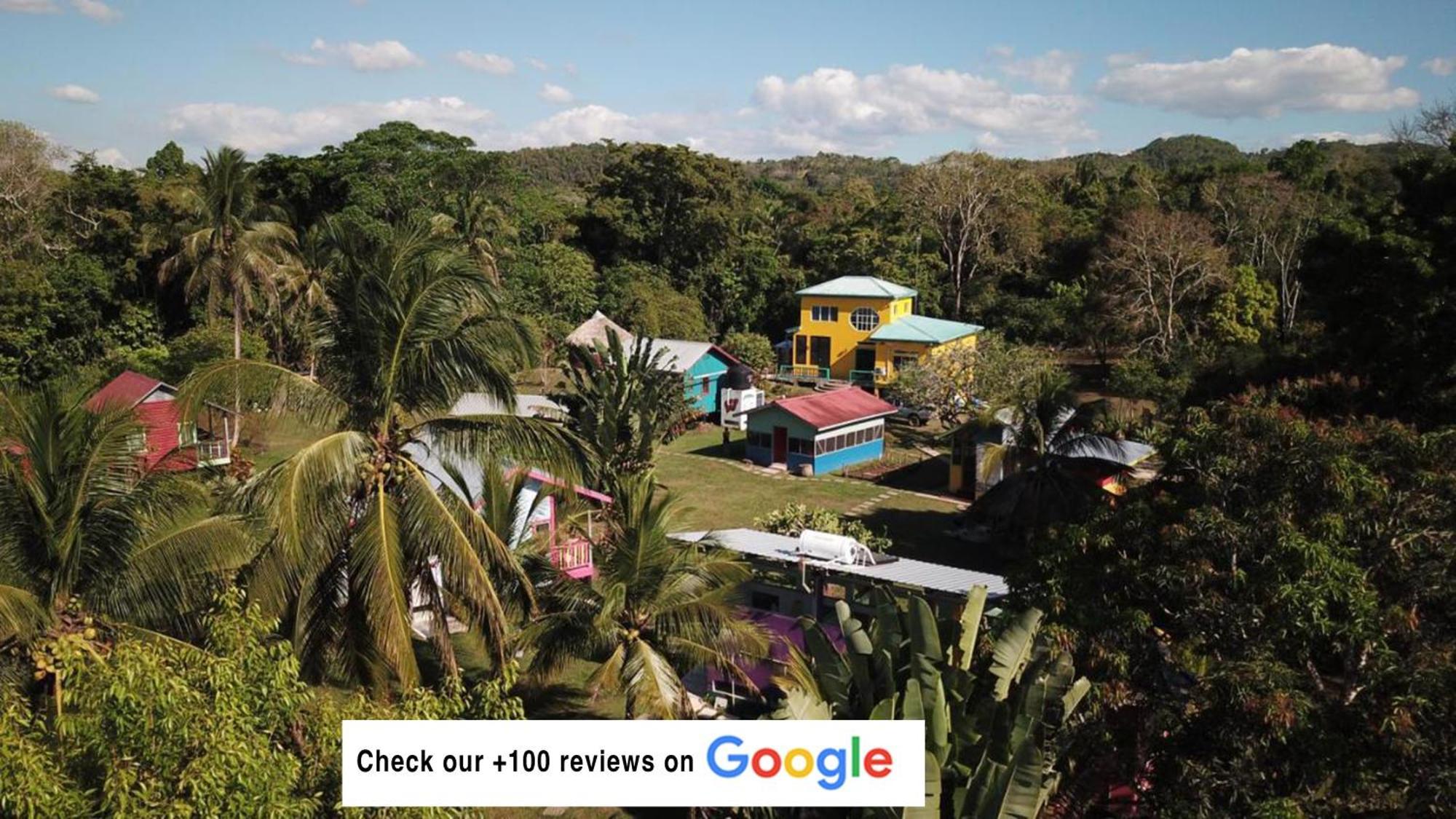 Lower Dover Jungle Lodge & Maya Ruins Unitedville Luaran gambar