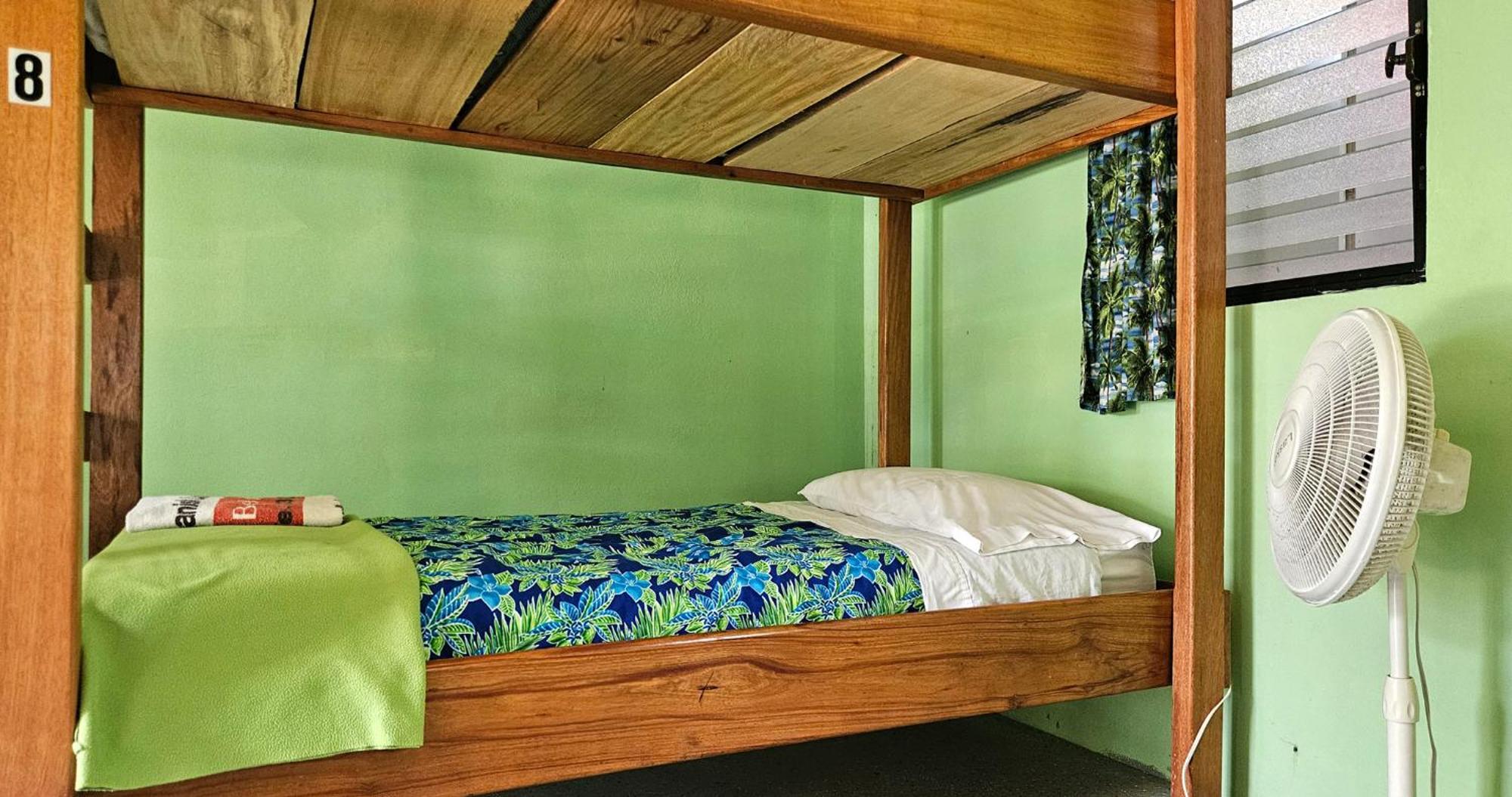 Lower Dover Jungle Lodge & Maya Ruins Unitedville Bilik gambar