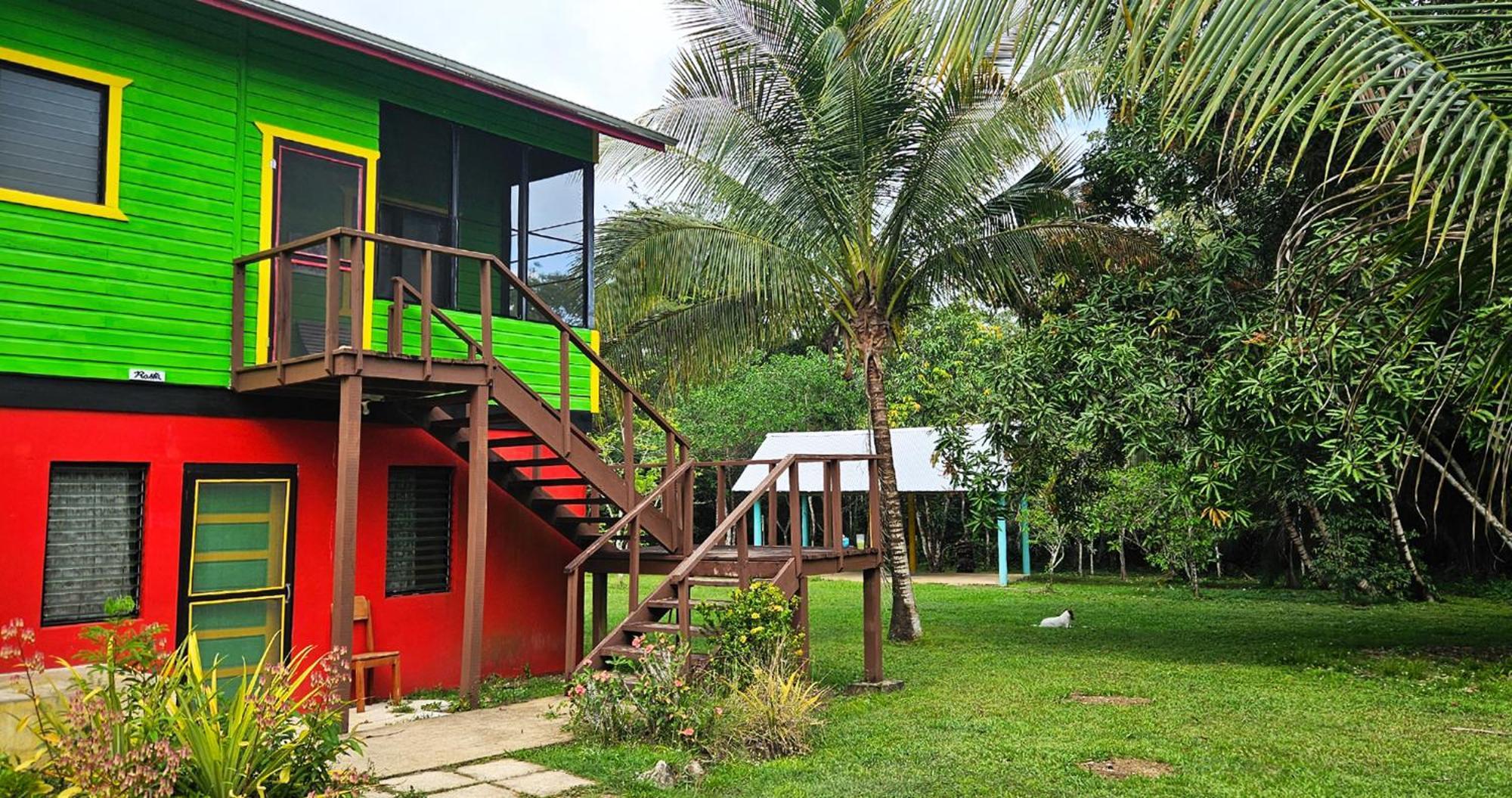 Lower Dover Jungle Lodge & Maya Ruins Unitedville Bilik gambar