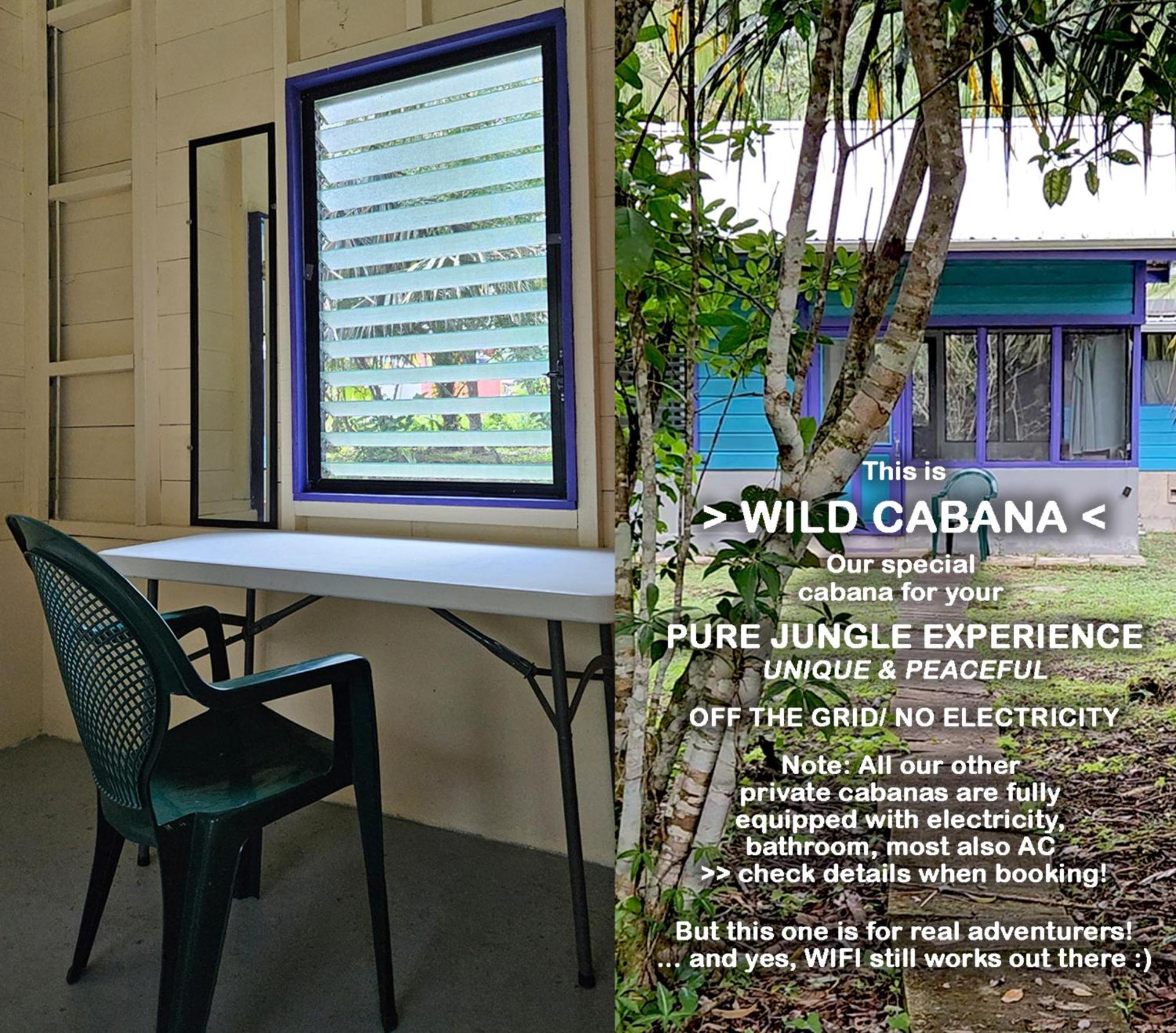 Lower Dover Jungle Lodge & Maya Ruins Unitedville Bilik gambar