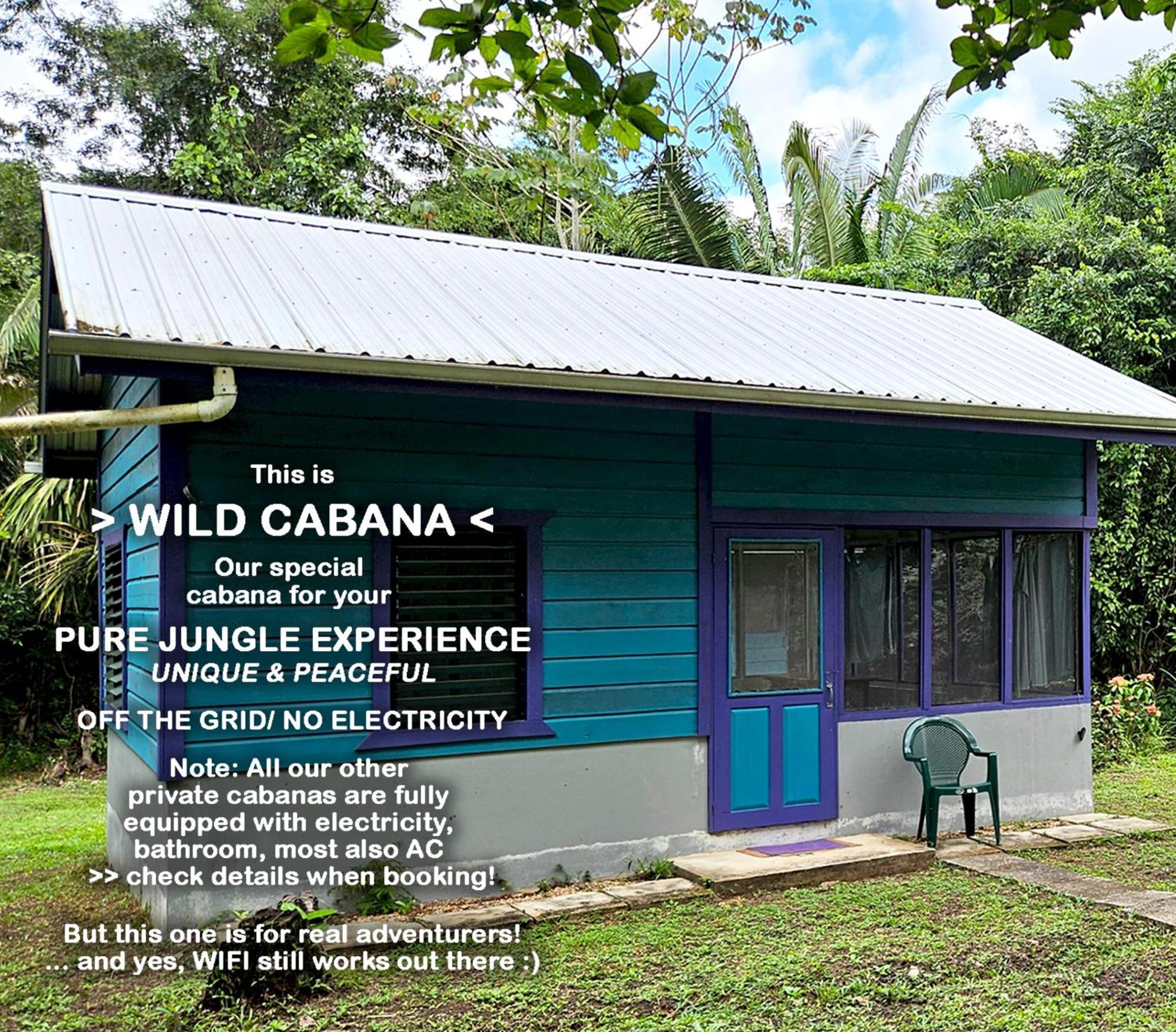 Lower Dover Jungle Lodge & Maya Ruins Unitedville Bilik gambar