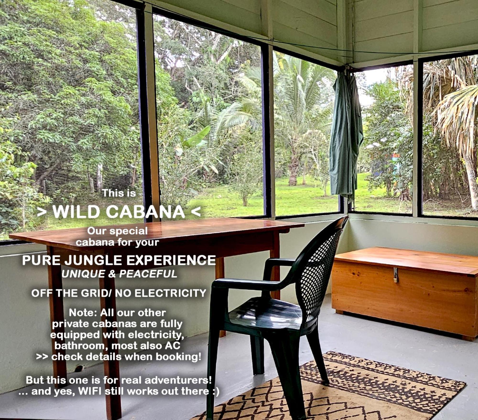 Lower Dover Jungle Lodge & Maya Ruins Unitedville Bilik gambar