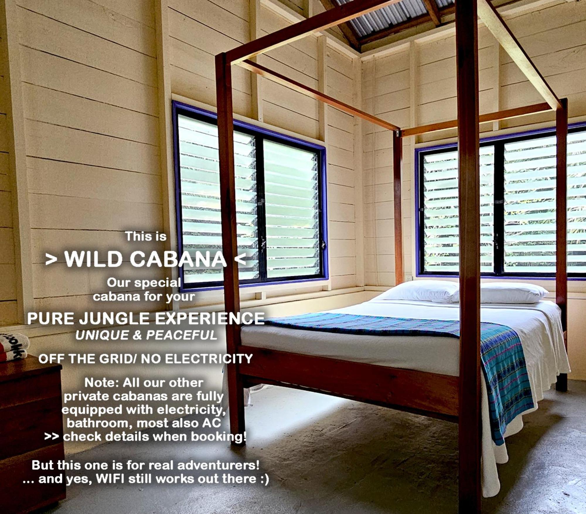 Lower Dover Jungle Lodge & Maya Ruins Unitedville Bilik gambar