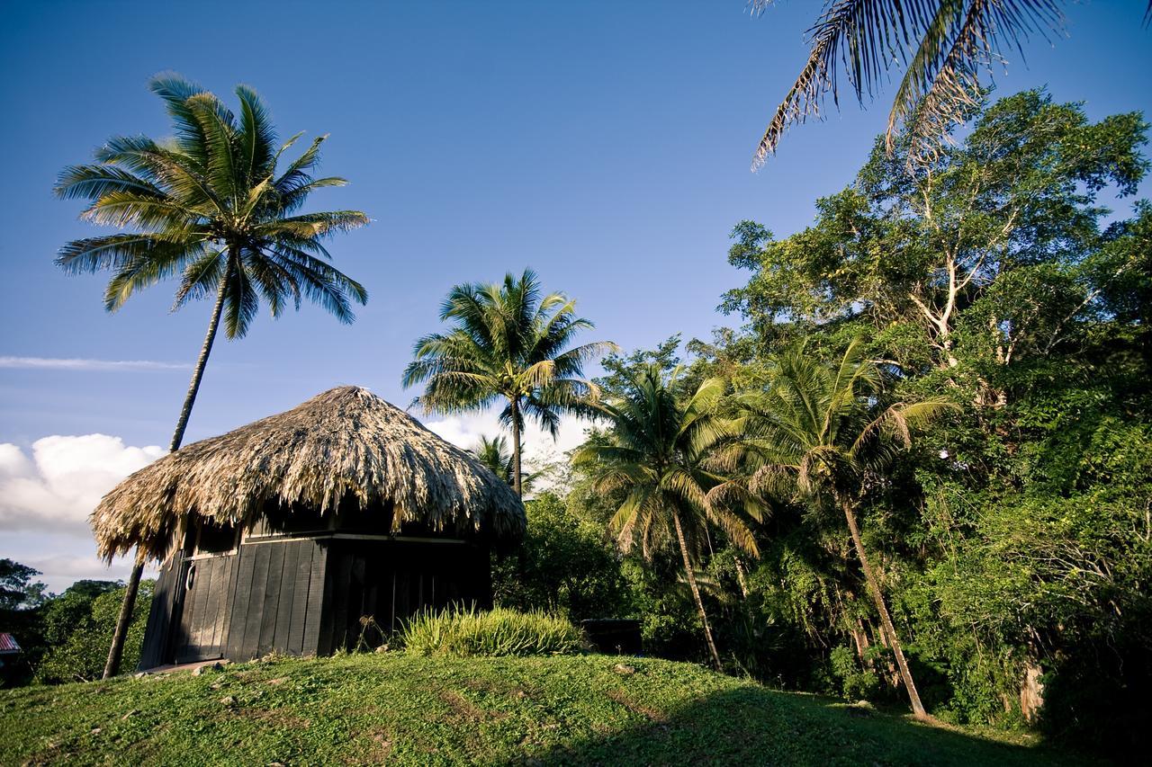 Lower Dover Jungle Lodge & Maya Ruins Unitedville Luaran gambar