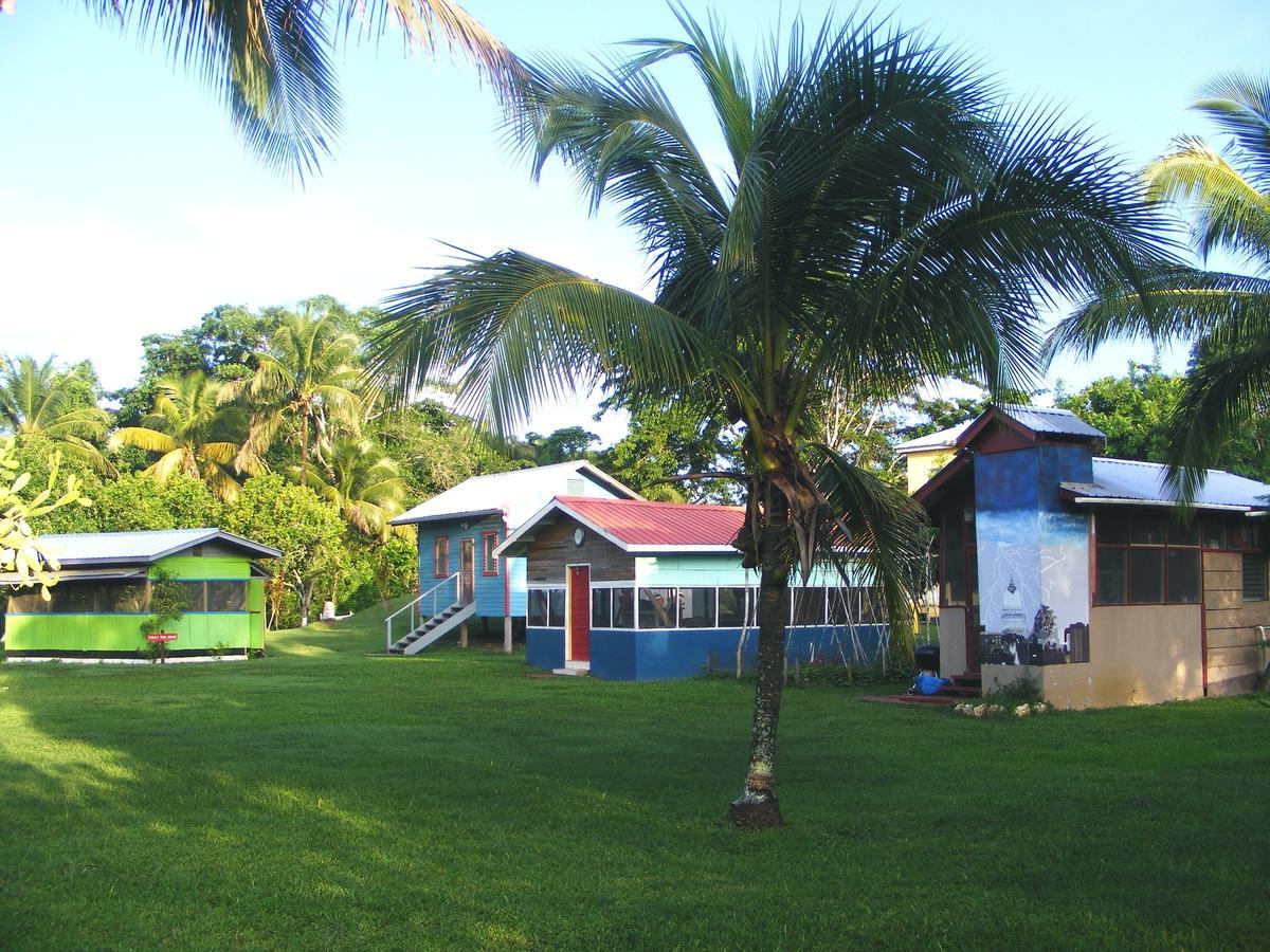 Lower Dover Jungle Lodge & Maya Ruins Unitedville Luaran gambar