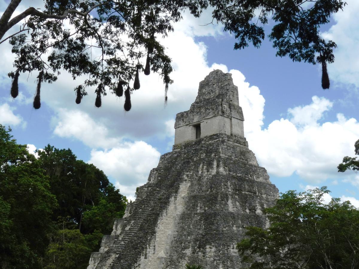 Lower Dover Jungle Lodge & Maya Ruins Unitedville Luaran gambar