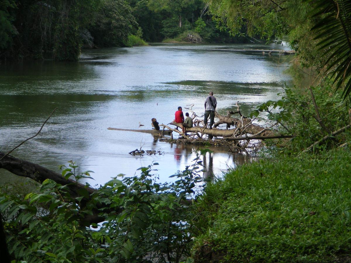 Lower Dover Jungle Lodge & Maya Ruins Unitedville Luaran gambar