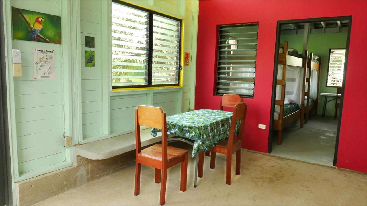 Lower Dover Jungle Lodge & Maya Ruins Unitedville Luaran gambar